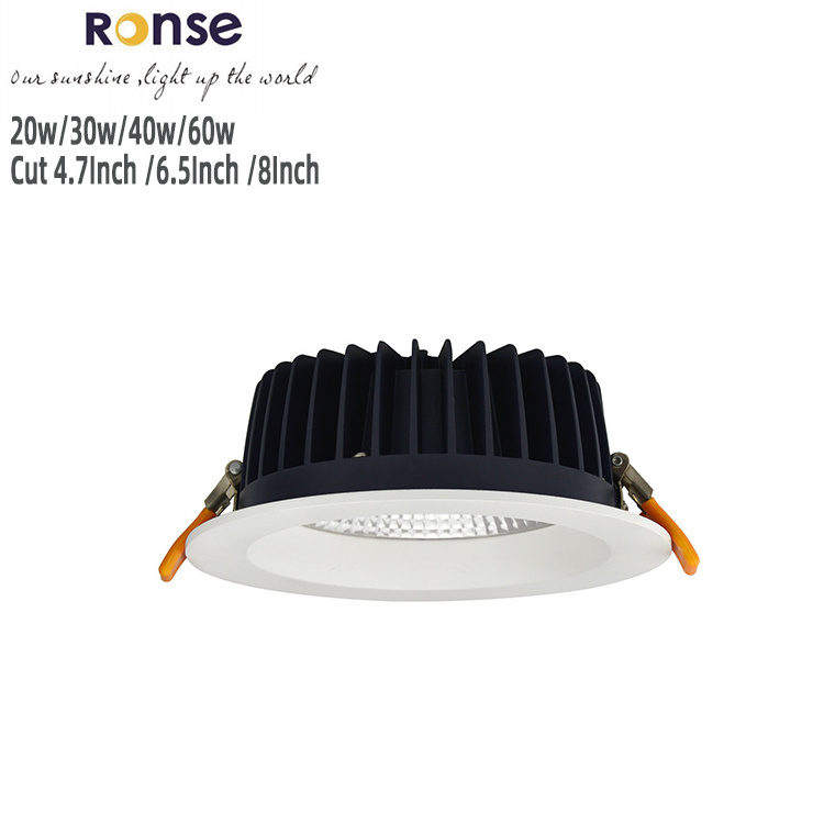 RONSE Low Best Price Aluminum Ceiling Downlight 20w 30w 40w 60w Home Store Use Down Lights Led Ceiling Light Downlight