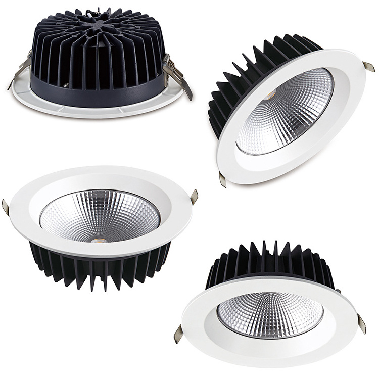 RONSE Low Best Price Aluminum Ceiling Downlight 20w 30w 40w 60w Home Store Use Down Lights Led Ceiling Light Downlight