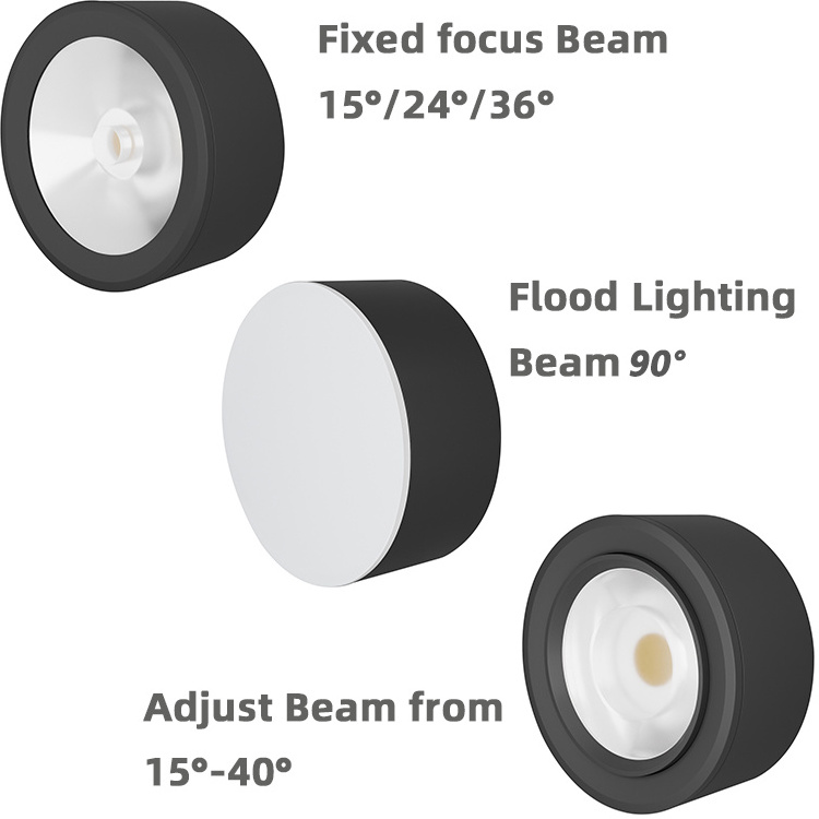 RONSE Commercial Down Light LED COB Downlight Adjust Down Lights Design LED Recessed Downlight Adjustable LED Spot Lights