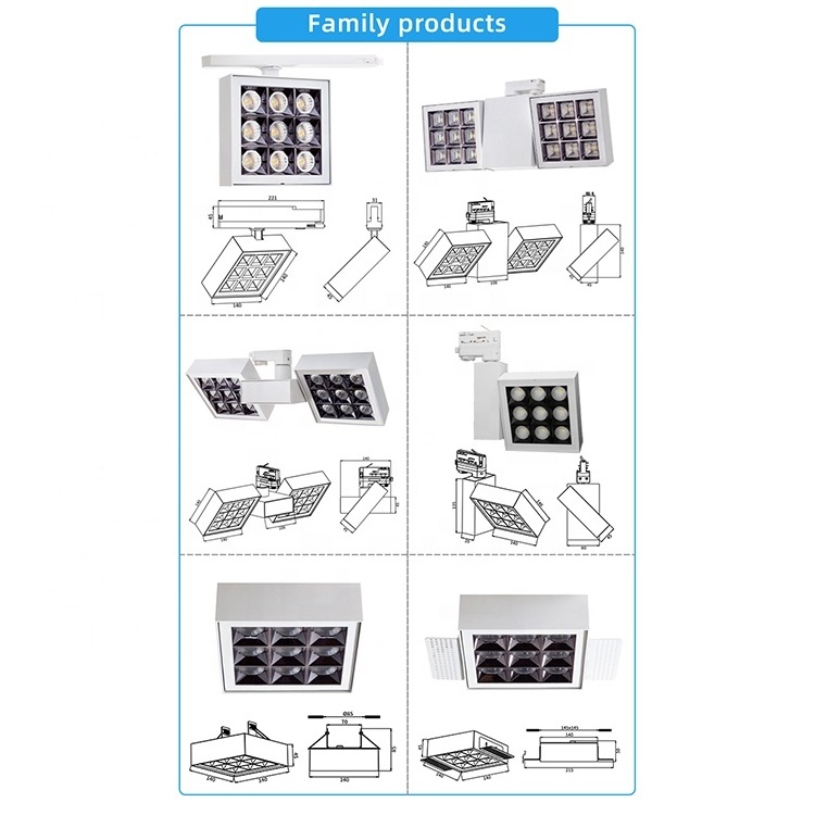 RONSE Art Exhibition Lighting Commercial Project Track Light 2700K 3000K 4000K 6000K Museum Spot Light Black 40w Spotlight Led