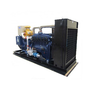 Customized gas generator set 800kw syngas generator for electric power plant