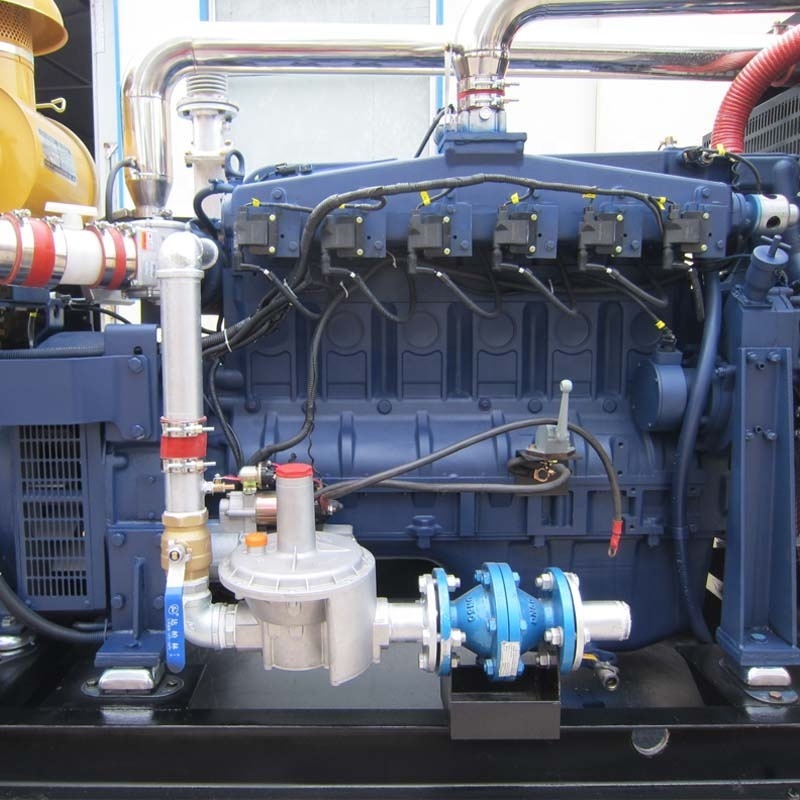 Customized gas generator set 800kw syngas generator for electric power plant