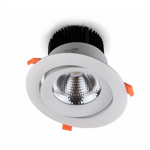 High Power 30W Dimmable IP44 Down Spot Light 6 Inch Hotel Project COB Recessed LED Downlight