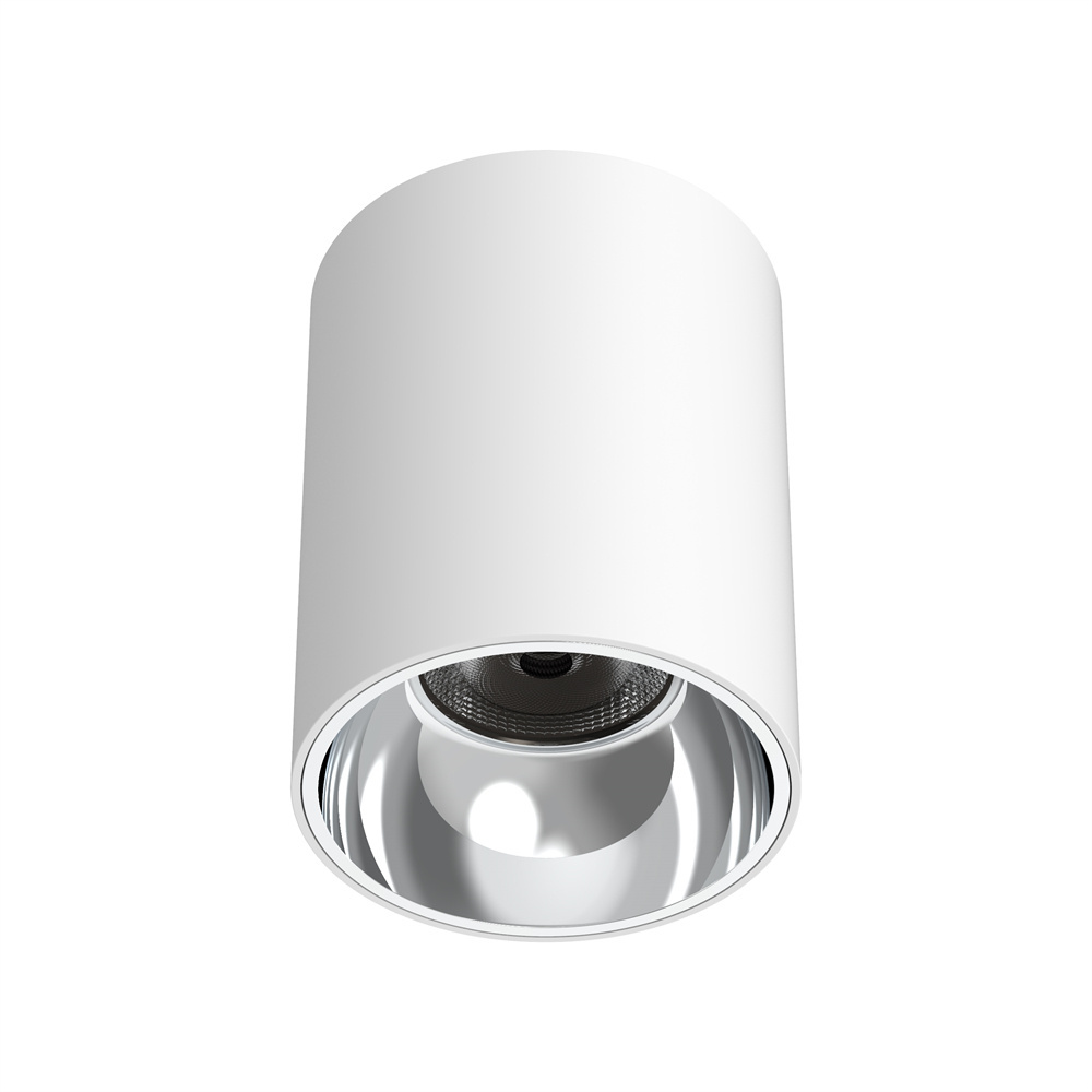 Hotel Project LED Mounted 30w Downlight COB IP65 Spot Wholesale Lighting Spotlight