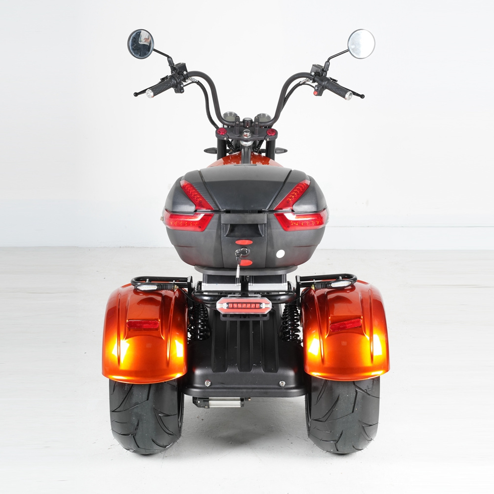 Rooder 3 wheels electric scooter sidecar 60V30AH e bike