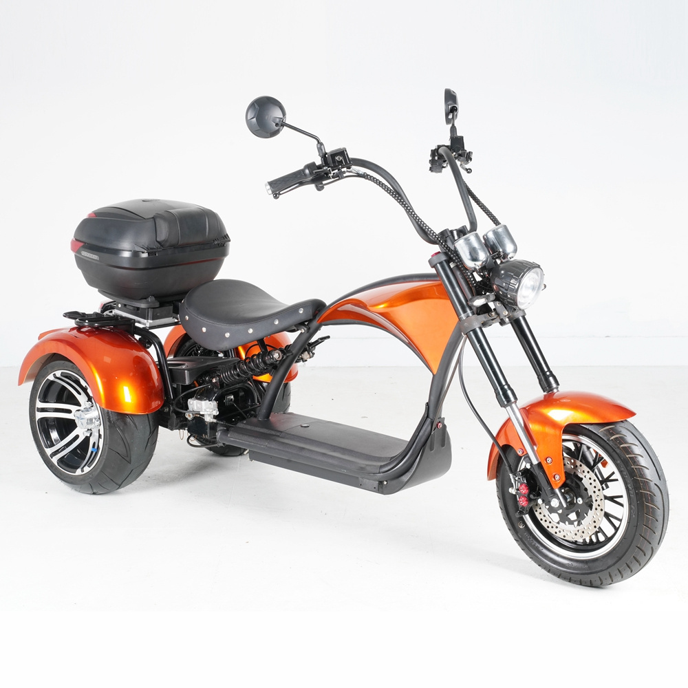 Rooder 3 wheels electric scooter sidecar 60V30AH e bike