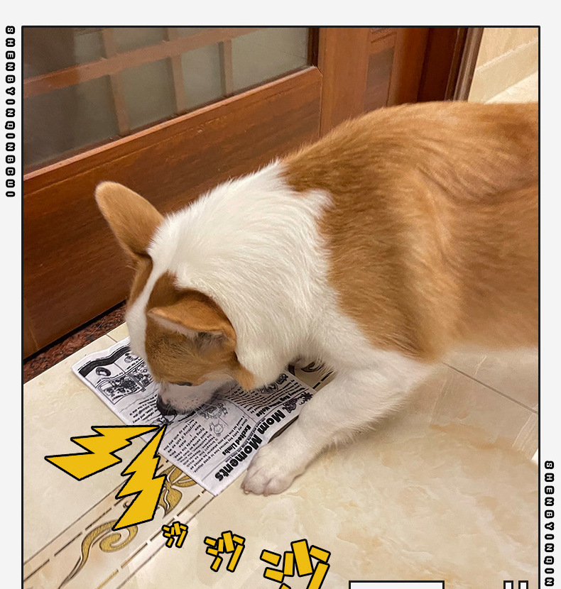 Bite and tear resistant newspaper playing cards ringing paper medium large dog pet supplies dog toys