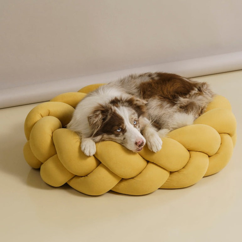 Luxury Sofa Kennel Removable Cozy Round Sponge Dog Bed Yellow Dog Bed