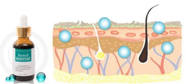 ISO22716 GMP EM/Private Label/Bulk  Korean  facial serum  Rooicell Moisture serum 30ml for moisturizing hydrating
