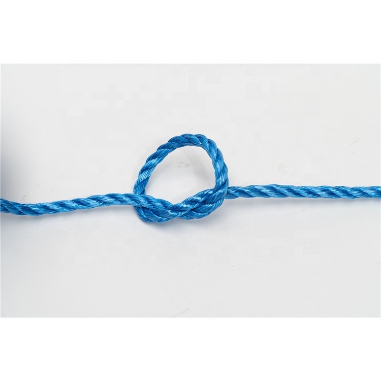 High Tenacity PE/PP/Polyester/Nylon/Polypropylene Packing Line/Fishing Net Twine/yaching rope