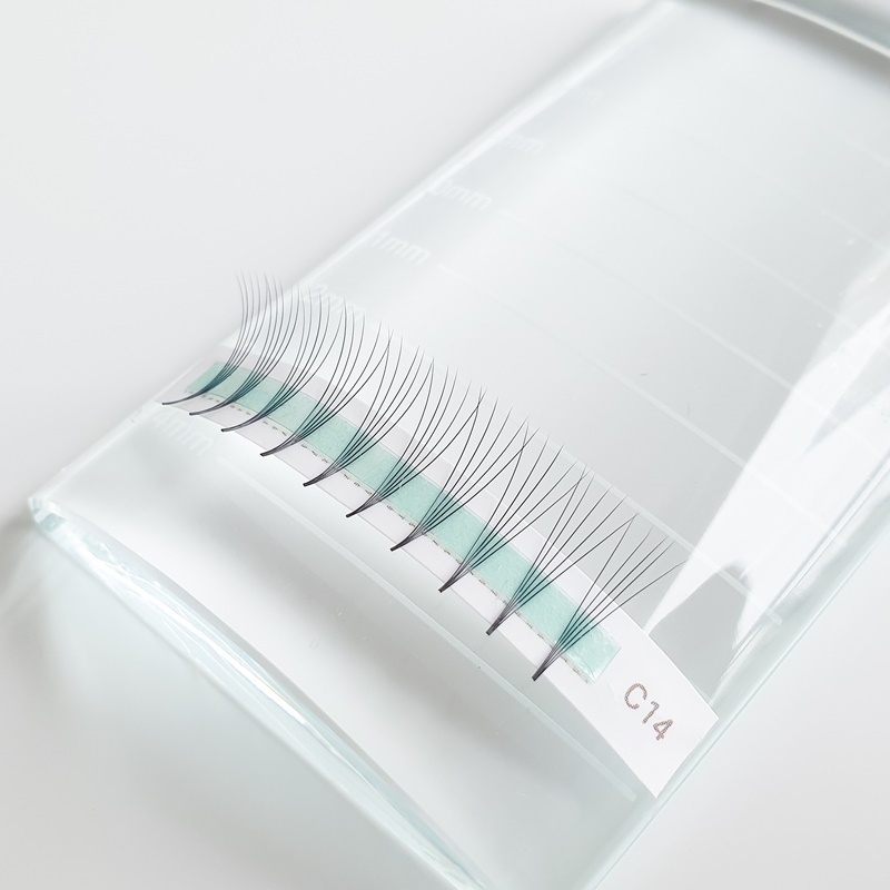 Premade Volume Fans Eyelash Extension 2D 3D 4D 5D Eyelash Extensions .05 .07 .10 C CC Premium Quality Korea PBT Lashes