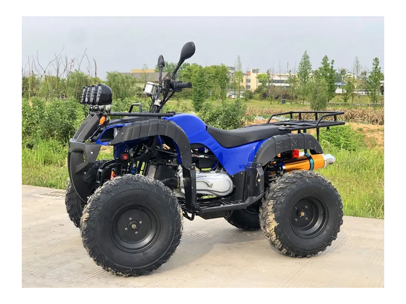 Great Value Gas Powered 4 Wheeler Quad Bike ATV For Adults