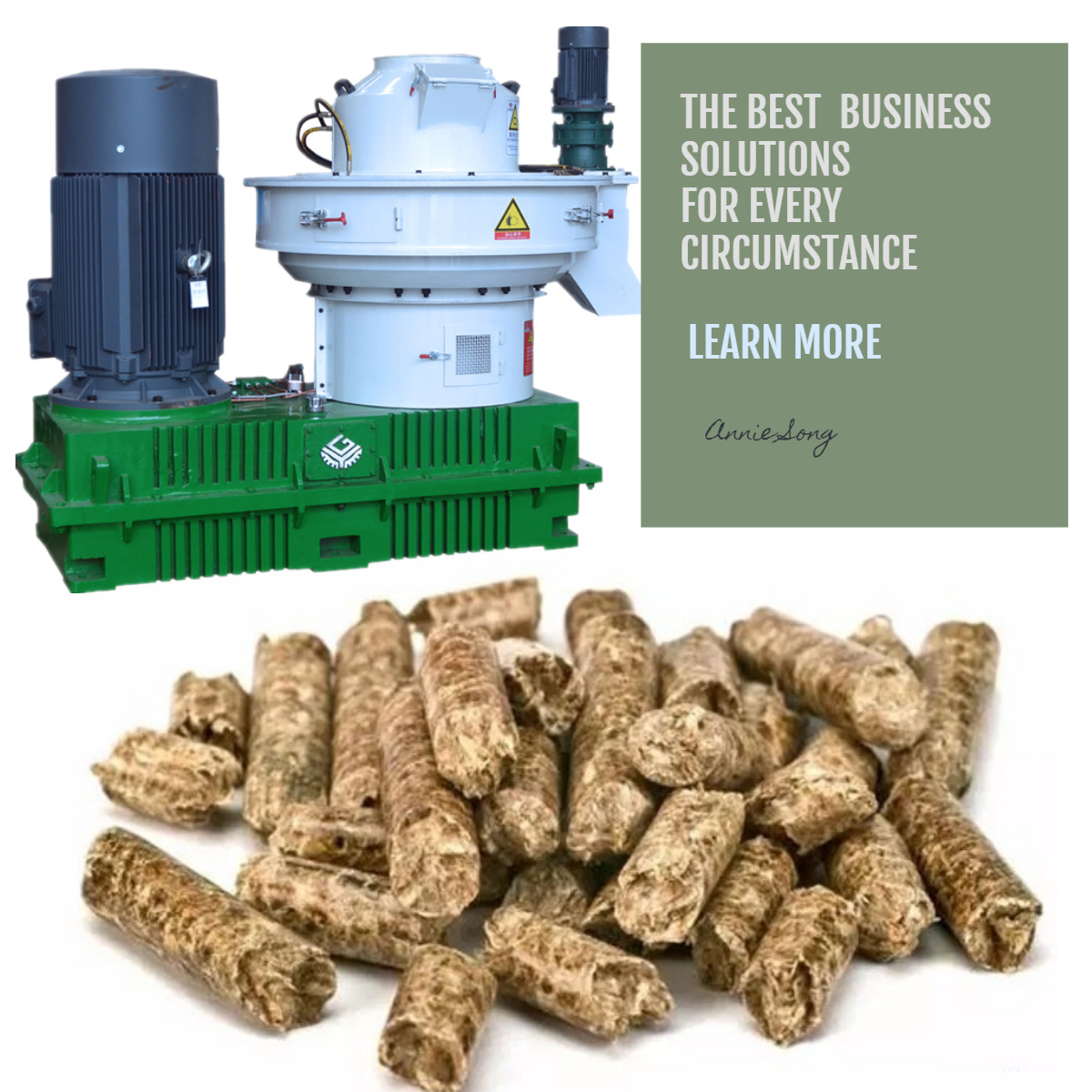 Industrial High Efficiency Biomass Wood Sawdust Rice Husk Straw Wood Pellet Mill Pelletizer Machine Pellets Making Machine