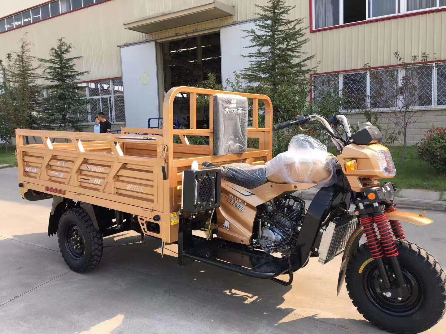 150cc Cargo Tricycle with Three Wheel Trike for Gas Powered Motorcycle