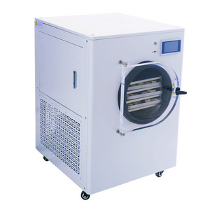 Household Small Capacity Vacuum Bench Top Freeze Dryer Is Used for Freeze Drying Food