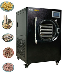 Freeze Dryer Drying Machine /mini freeze dry food at home /freeze Dryer Price