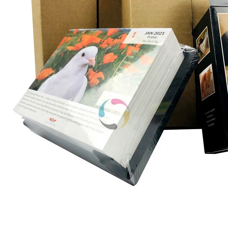 Easy tear off 365 days page a day calendar printing with shipping box