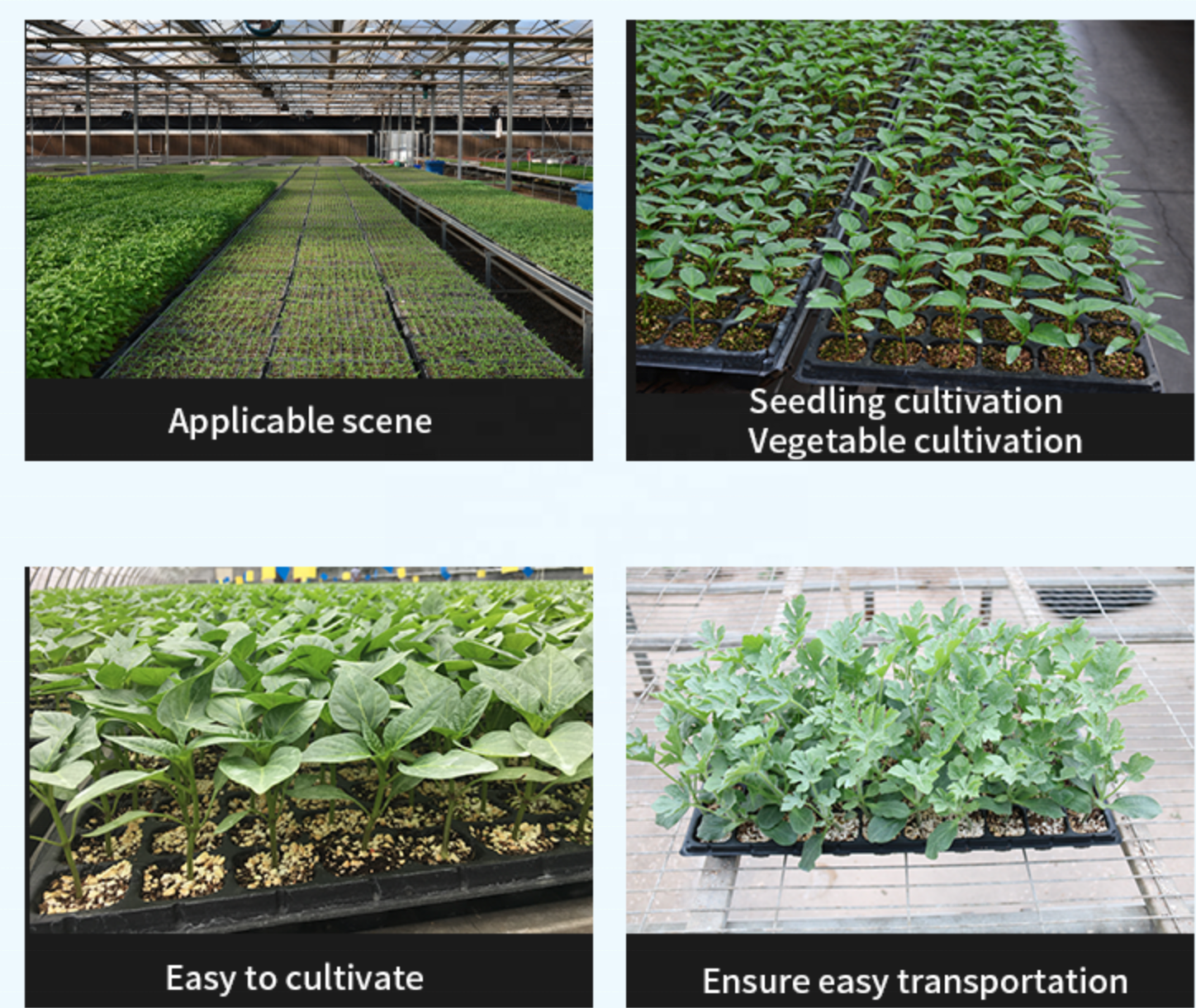 Factory Wholesale Cheap 15 To 288 Cells Seedling Tray Planting Starter Tray