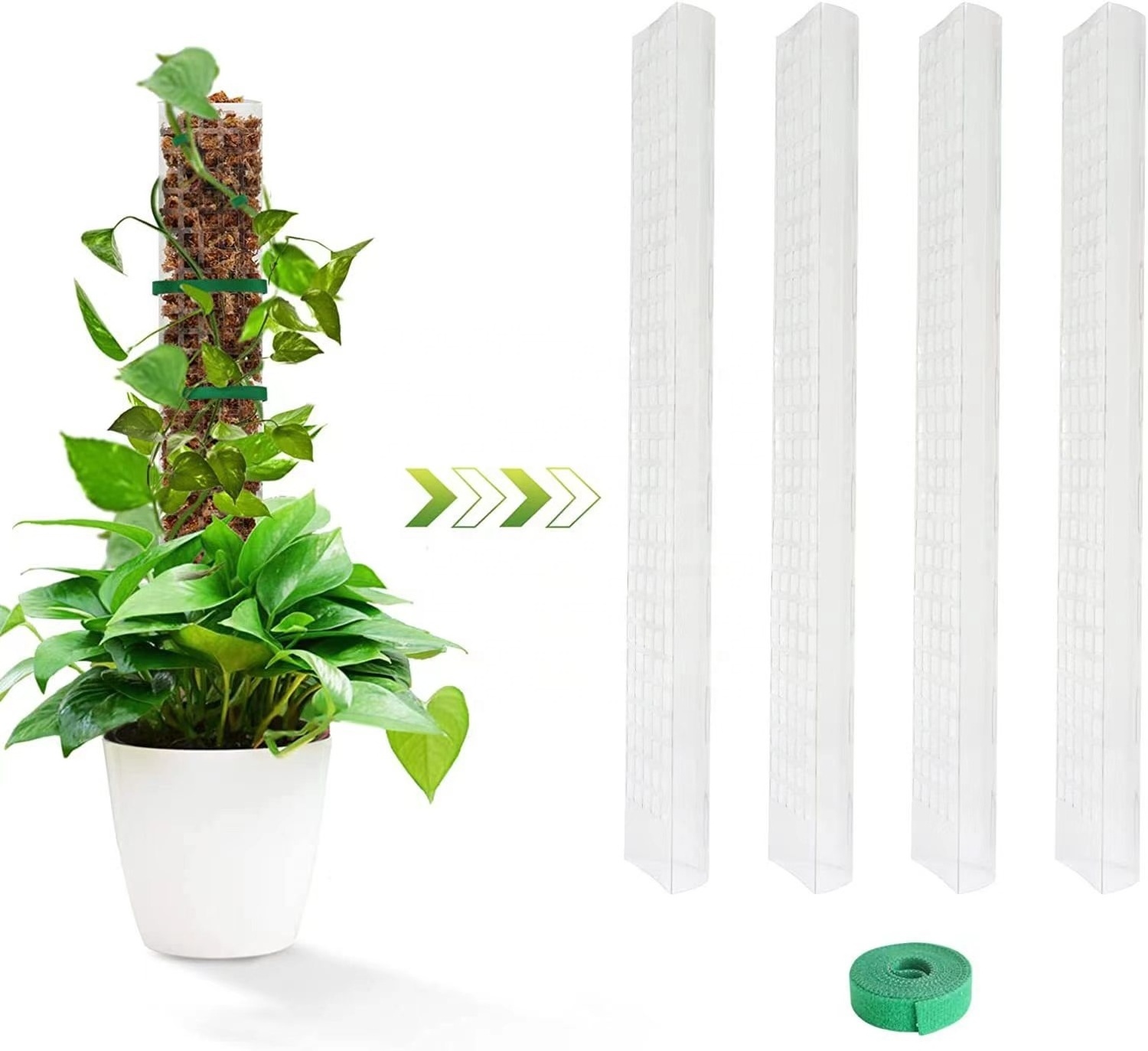 Hot Sale Moss Pole 60cm Plastic Plant Pole Stick Transparent Plant Support Weather Resistant Moss Stick for Climbing Plants