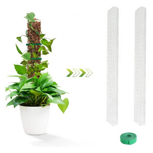 Hot Sale Moss Pole 60cm Plastic Plant Pole Stick Transparent Plant Support Weather Resistant Moss Stick for Climbing Plants