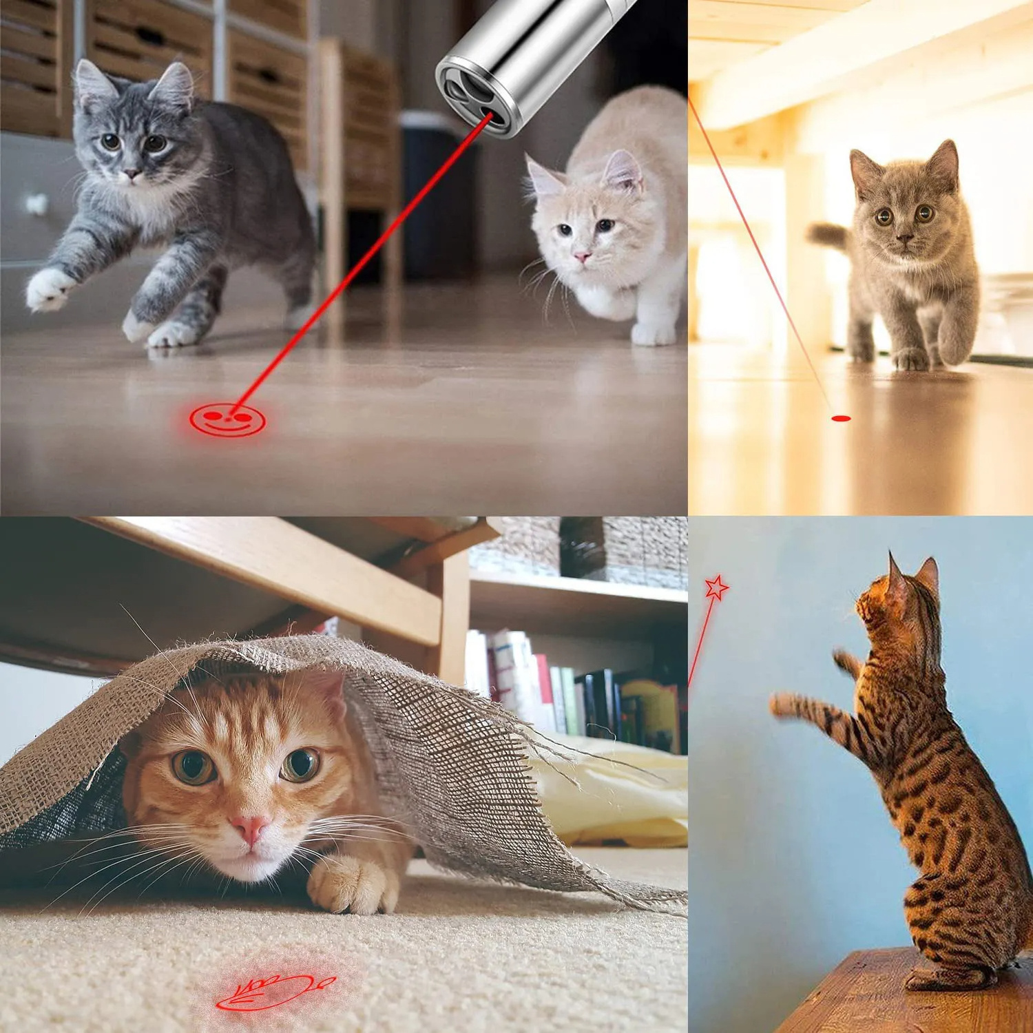 Cat Laser Pointer Toy Red Dot LED Light Pointer Interactive Toys for Indoor Cat Dog Play Chase Exercise USB Rechargeable