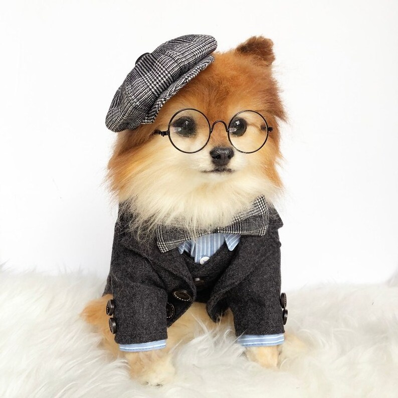 Custom Pet Clothes Fashion 2024 XXXS Dog Clothes Winter Vest Wedding Outfit Small Dog Clothes XXXS Luxury