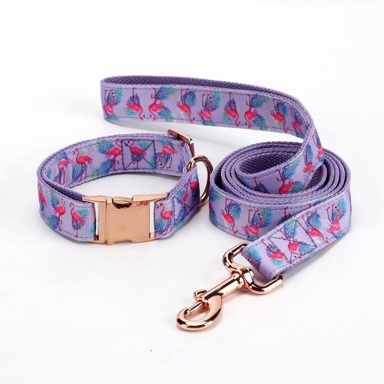 Custom Printed Charms Designer, Luxury Pu Leather Pet Dog Collars and Leash//