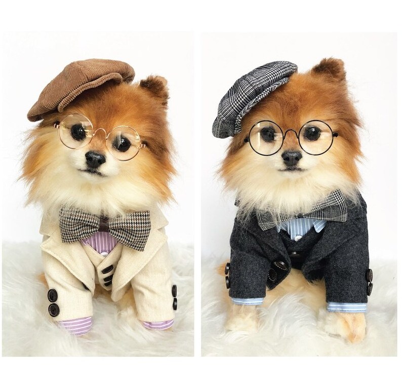 Custom Pet Clothes Fashion 2024 XXXS Dog Clothes Winter Vest Wedding Outfit Small Dog Clothes XXXS Luxury