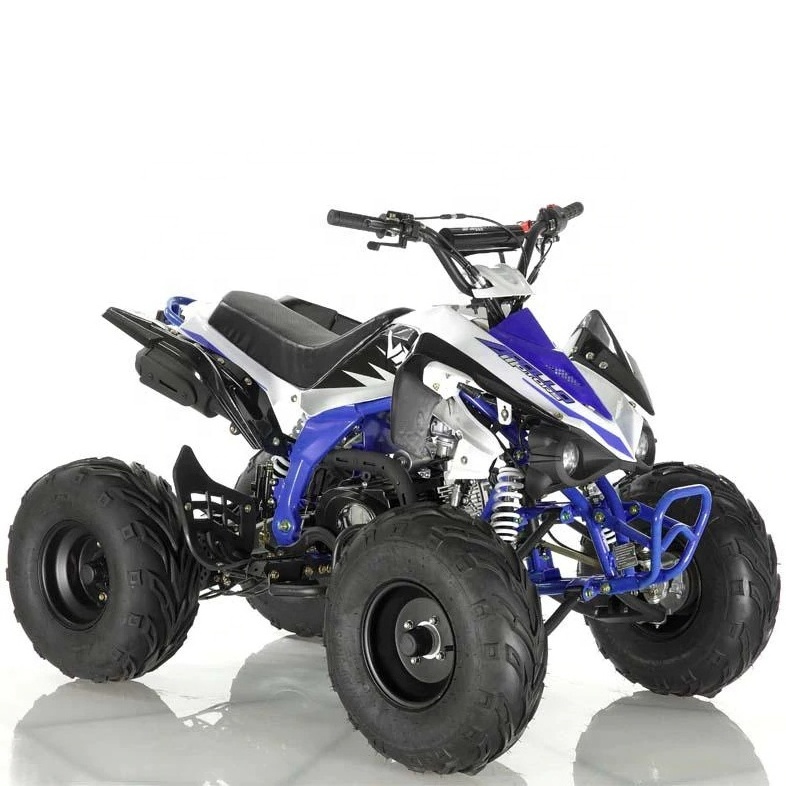 Professional 4 Wheeler Gas Powered 125CC ATV Sporty Quad