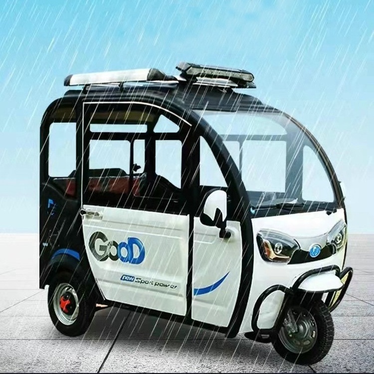 Fully enclosed 3 wheel adult three wheel fat tire electric tricycle 4 passnger seat