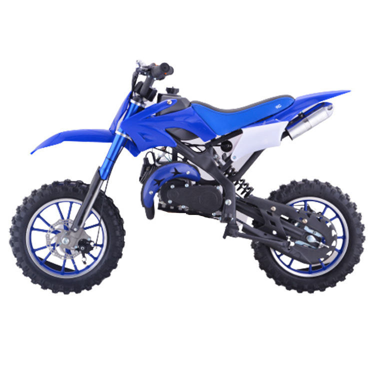 Roywell 10 Inch 2 Stroke Gas Powered Petrol Bike 49cc Mini Dirt Bike Pocket Bike For Kids