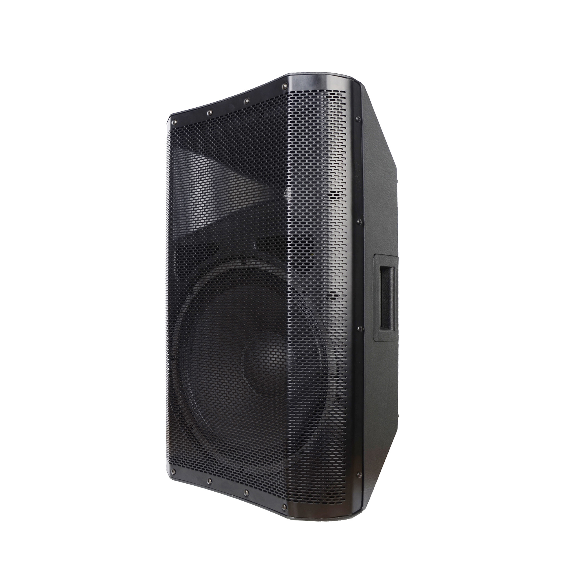 RQSONIC CAN15 Line Array Profesional Audio 12 