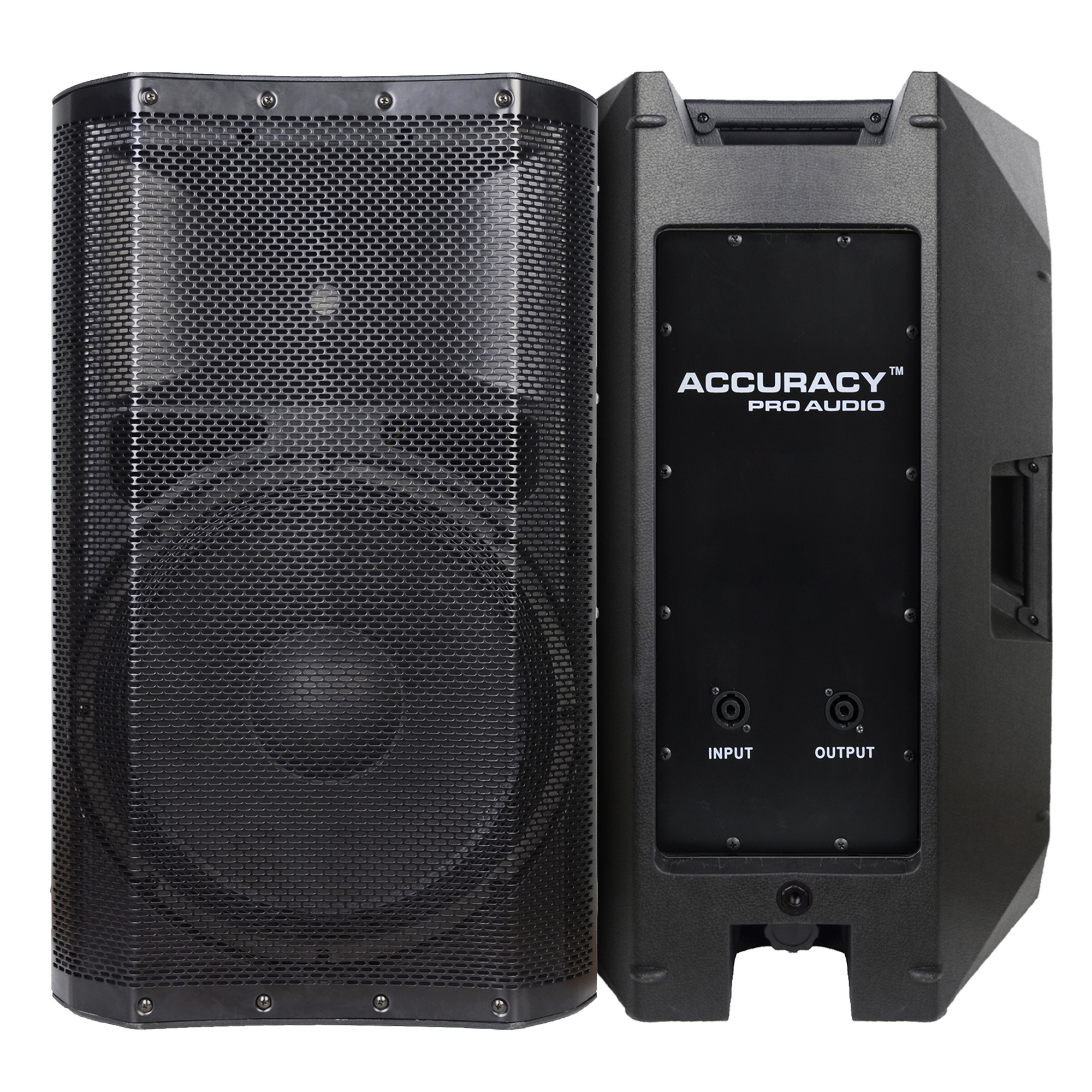 RQSONIC CAN15 Line Array Profesional Audio 12 