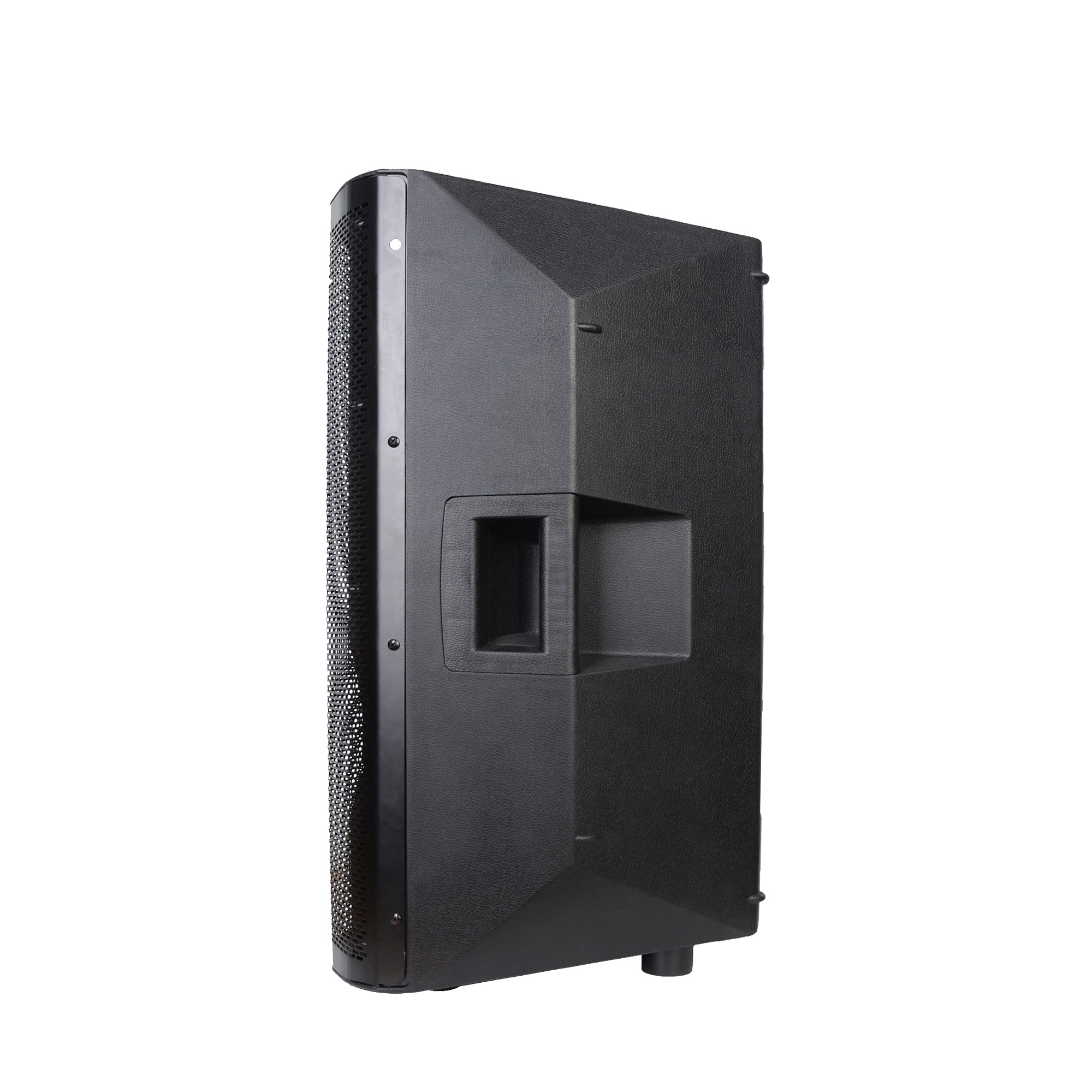 RQSONIC CAN15 Line Array Profesional Audio 12 