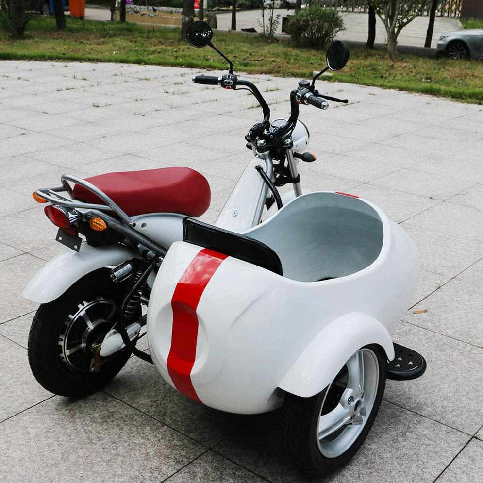 2022 Hot sale three wheel electric motorcycle EEC COC 1000w tricycle bicycle sidecar for adults electric ciytcoco pets scooter