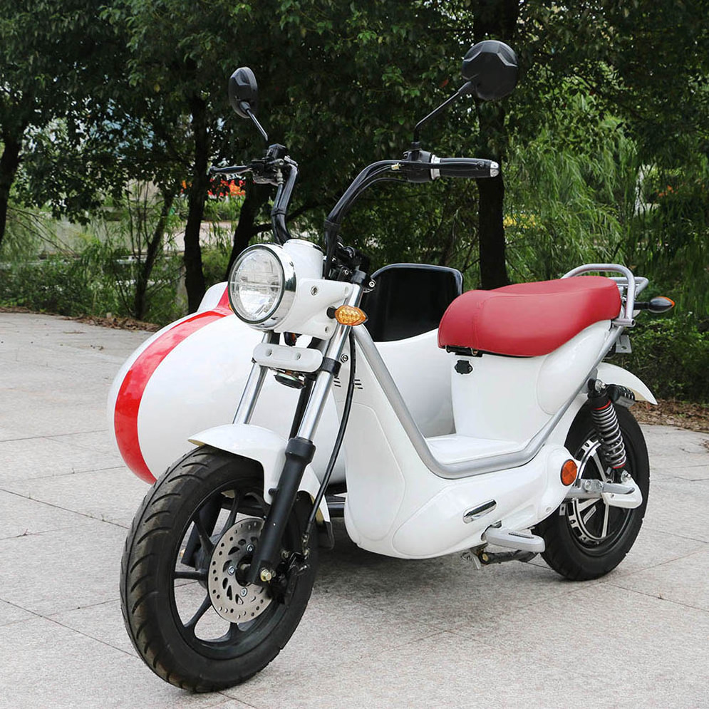 2022 Hot sale three wheel electric motorcycle EEC COC 1000w tricycle bicycle sidecar for adults electric ciytcoco pets scooter