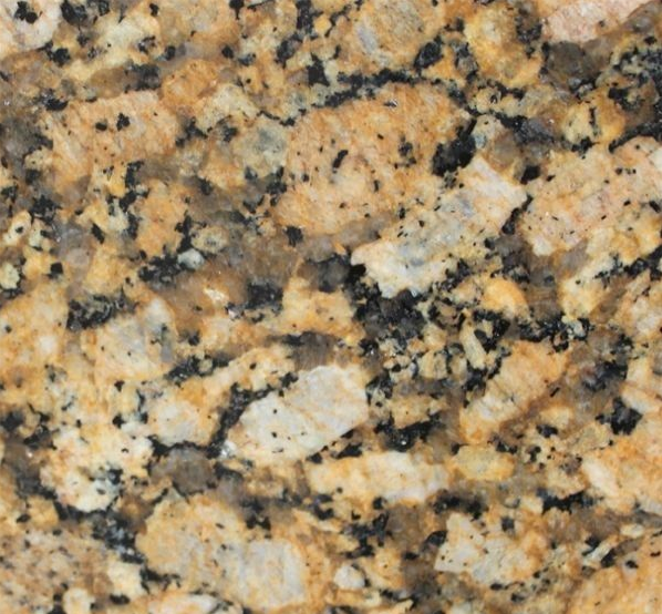 Giallo fiorito granite countertop for sale