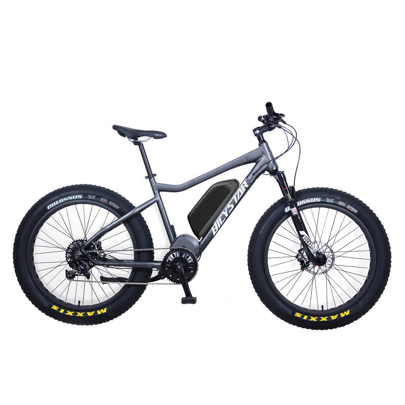 High quality factory supply mountain bike fat electric/e bike 2019/snow e bike online/wide tire electric bicycle prices