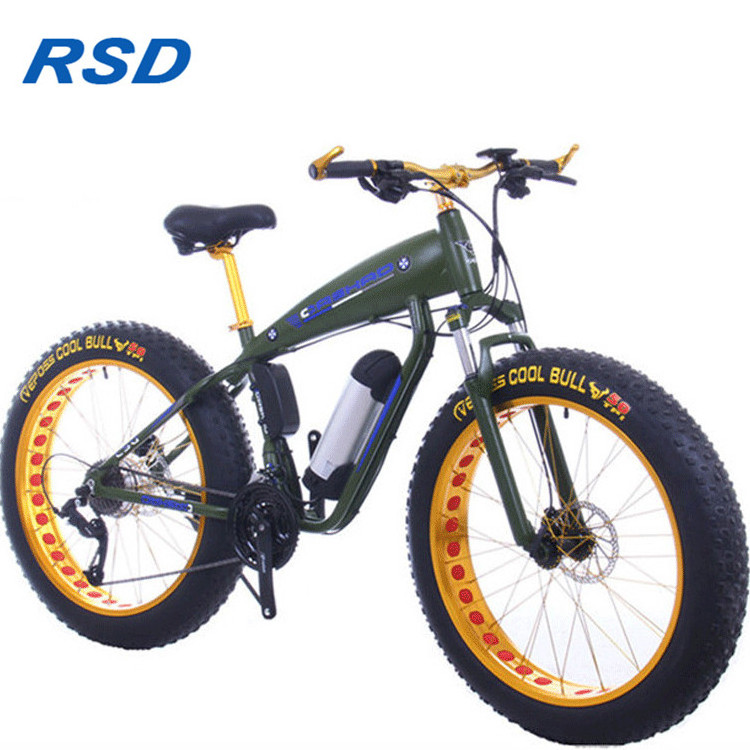 fat tire fashion electric bike/26