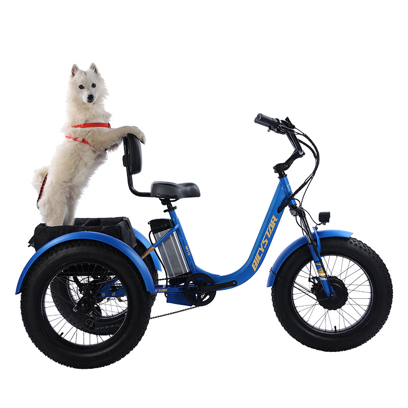 Hot selling adult 20 inch E tricycle cargo electric tricycle fat tire 3 wheel electric tricycle