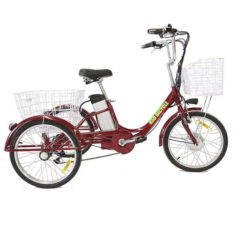 BL auto rickshaw tricycle /fat tire e trike electric tricycle /electric tricycle pedal assisted battery electric tricycle