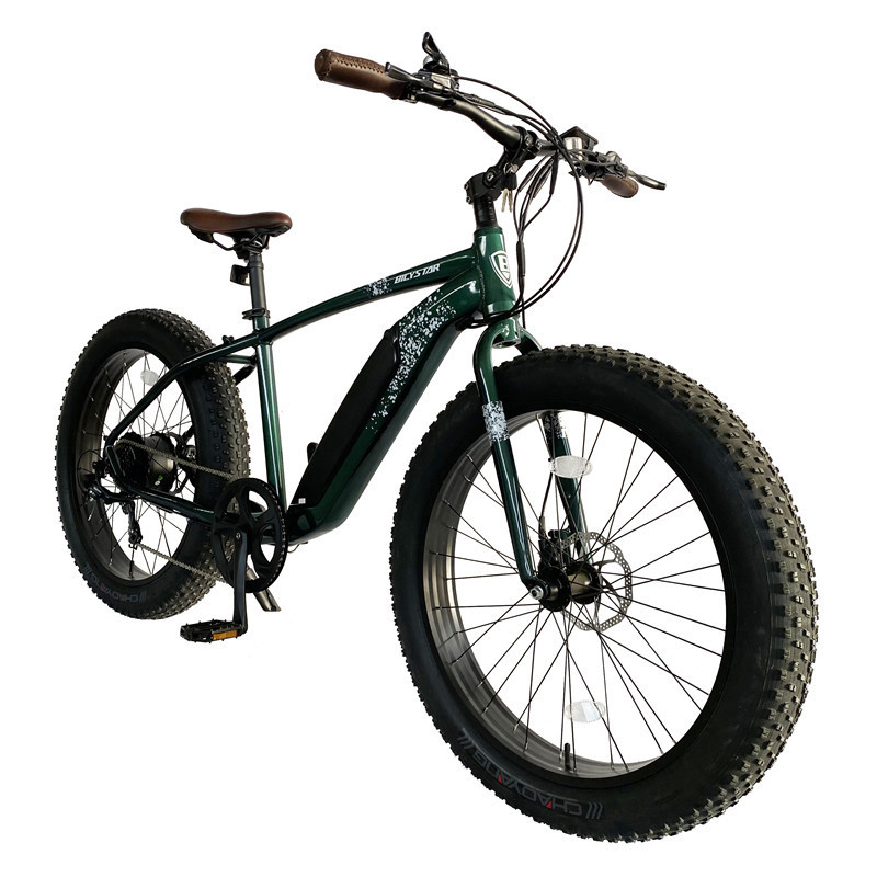 48V 500W Fashionable Sand Snow Fat Tire MTB , Bicystar 26x4.0 20x4.0 inch Europe electric fat bike ,electric bike