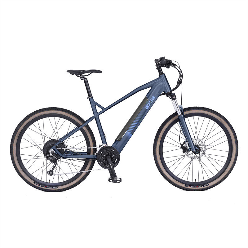 custom e bike 8000w / mtb adult 1000w electric sports bike / 3000w electric bicycle with battery 36v cheap large wheel