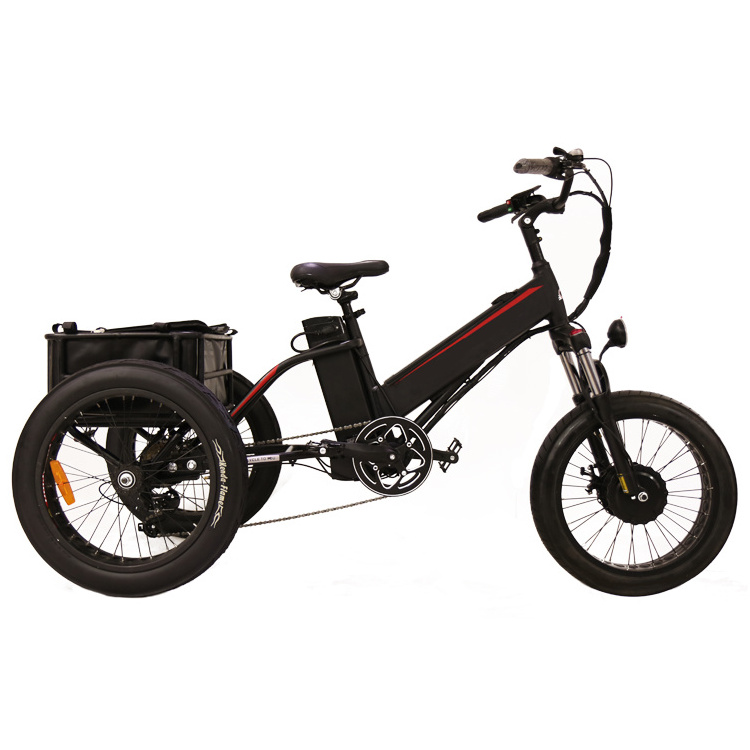 Big manufacture 800w electric tricycle/closed cabin electric tricycle/philippines electric tricycle scooter