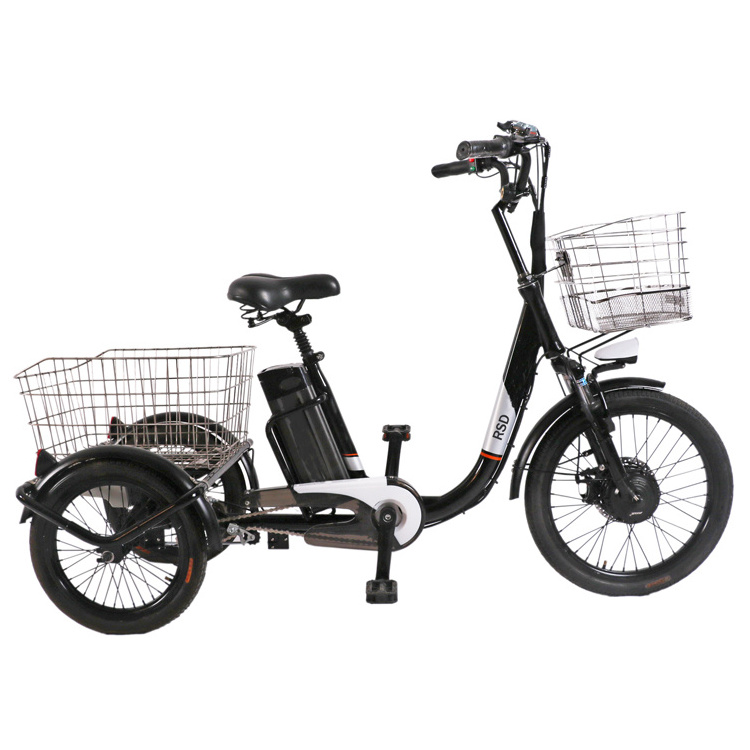 BL auto rickshaw tricycle /fat tire e trike electric tricycle /electric tricycle pedal assisted battery electric tricycle