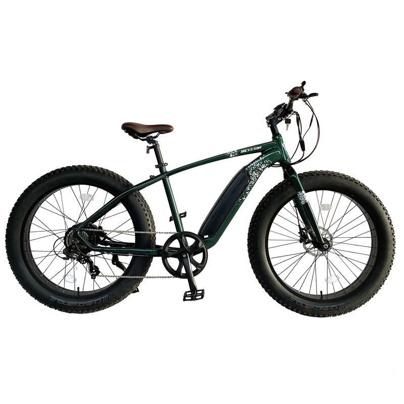 48V 500W Fashionable Sand Snow Fat Tire MTB , Bicystar 26x4.0 20x4.0 inch Europe electric fat bike ,electric bike