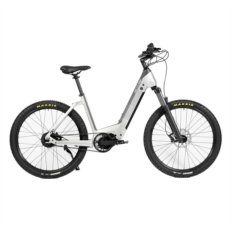 Christmas electric cycle shopping electric bike parts;local bicycle shops cheap e bikes 2019;Christmas electric bike