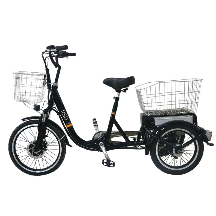 BL auto rickshaw tricycle /fat tire e trike electric tricycle /electric tricycle pedal assisted battery electric tricycle