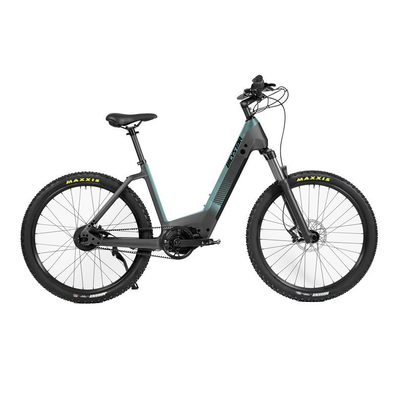 Christmas electric cycle shopping electric bike parts;local bicycle shops cheap e bikes 2019;Christmas electric bike