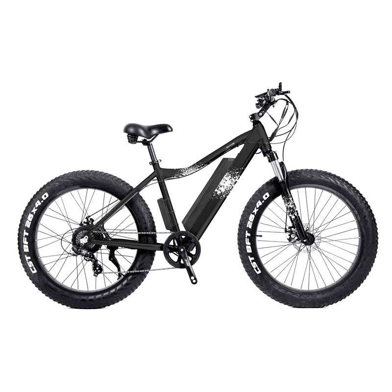 High quality factory supply mountain bike fat electric/e bike 2019/snow e bike online/wide tire electric bicycle prices